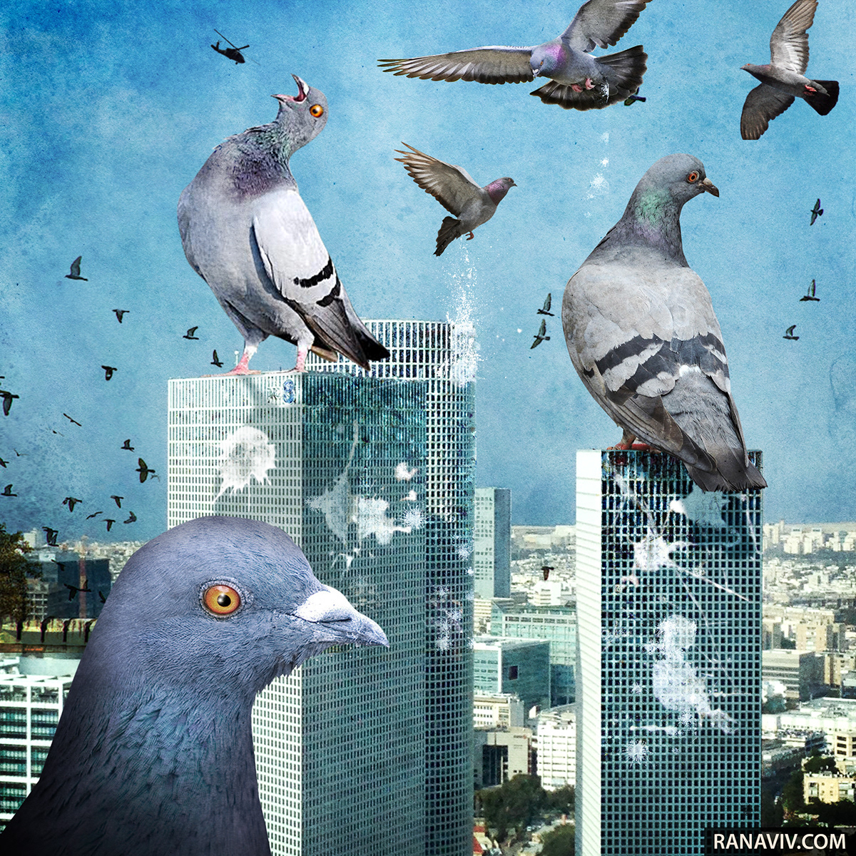 תל אביב בוערת!, תמונה 2