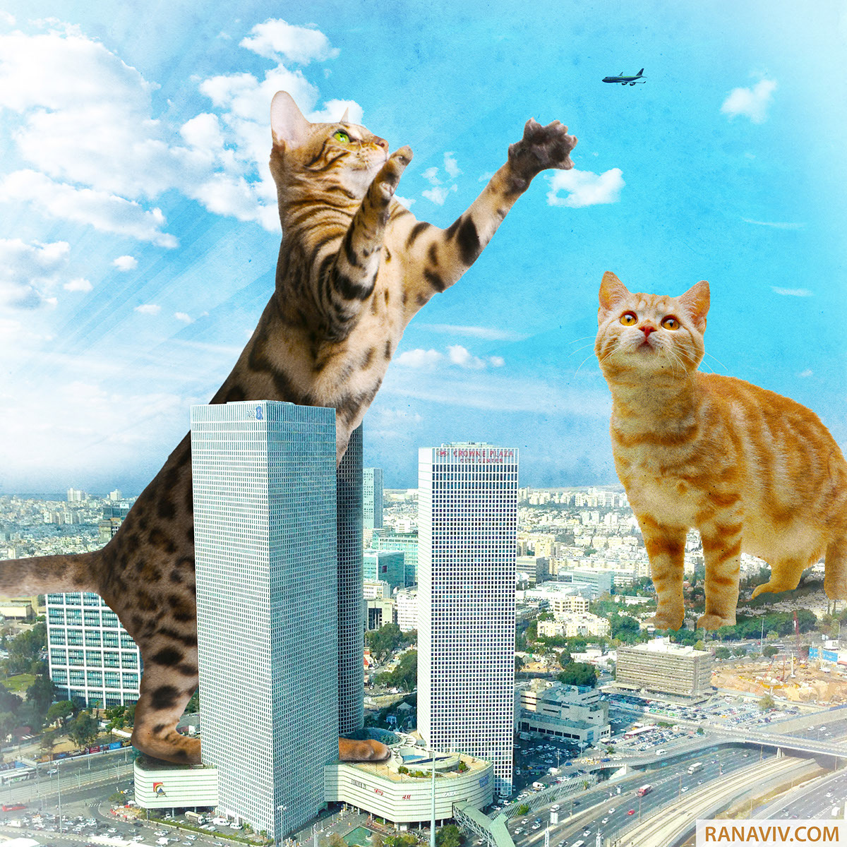 תל אביב בוערת!, תמונה 28